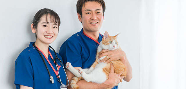 獣医師・スタッフの紹介部分も重要